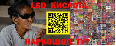 spice Кингисепп
