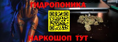 spice Кингисепп