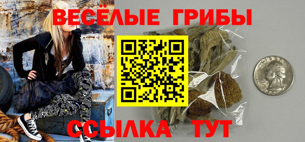 Кувандык  Псилоцибиновые грибы MAGIC MUSHROOMS  Вход с VPN 